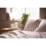 CEDARWOOD & OCEAN MOSS